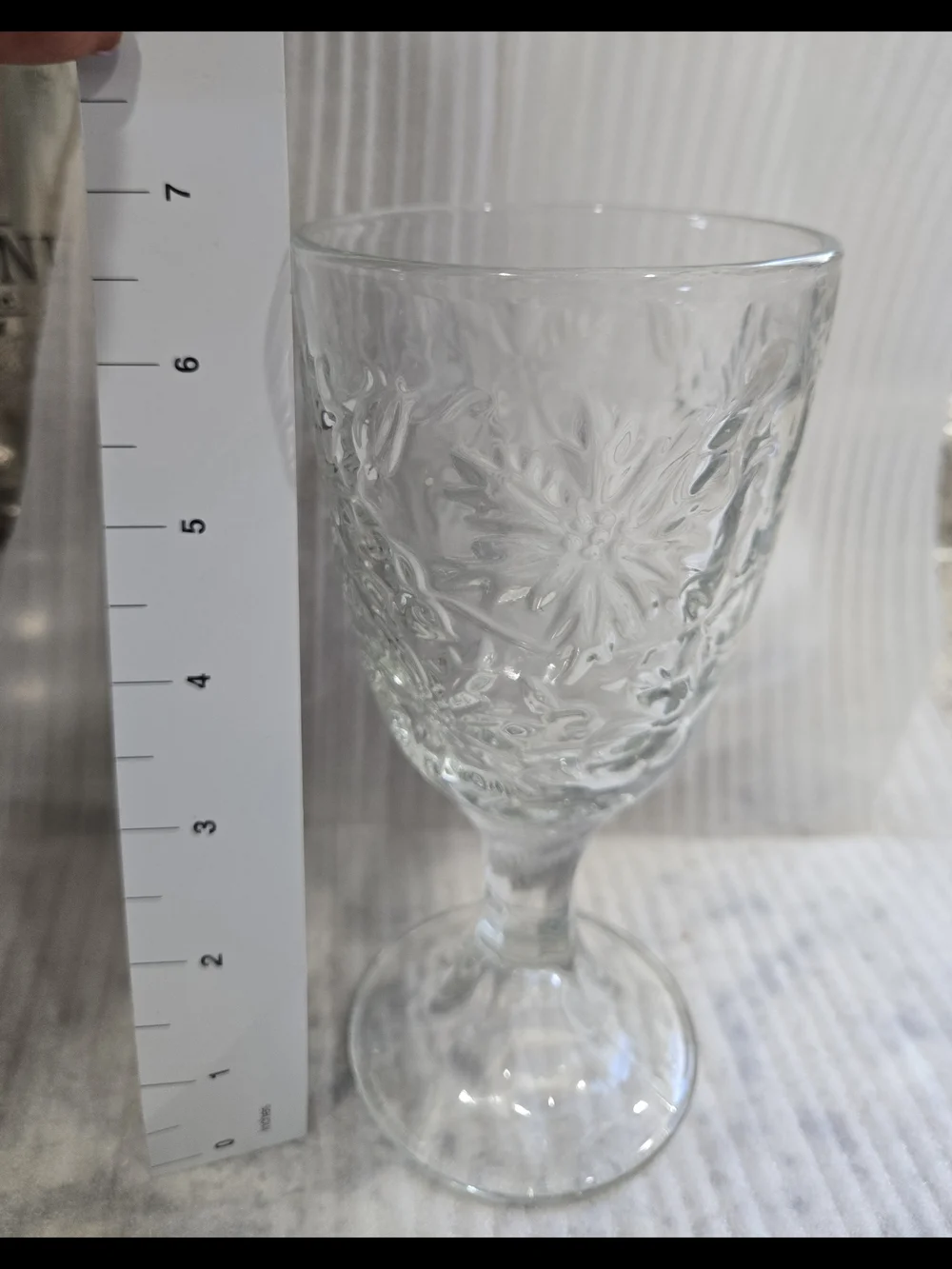 Princess House Clear Embossed Glass Goblet - Elegant Floral Pattern